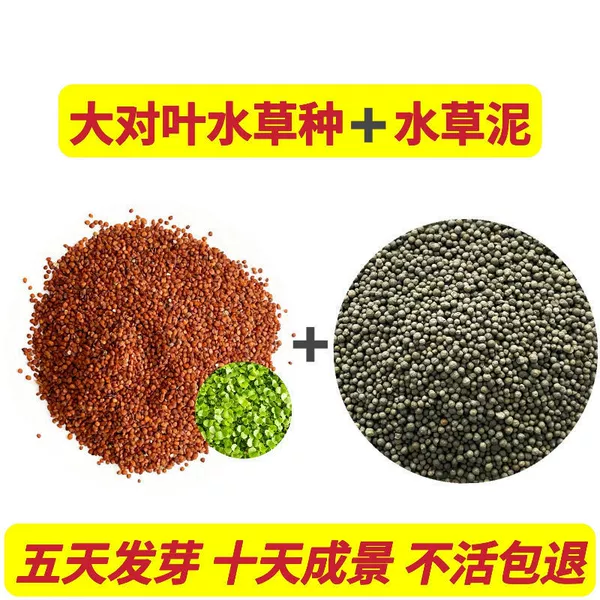 5,000 large pairs of leaves + 1 jin of planting soil + base fertilizer
