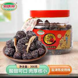 海珠园陈皮杨梅罐装原味盐津杨梅干农家自制蜜饯酸甜开胃梅子零食
