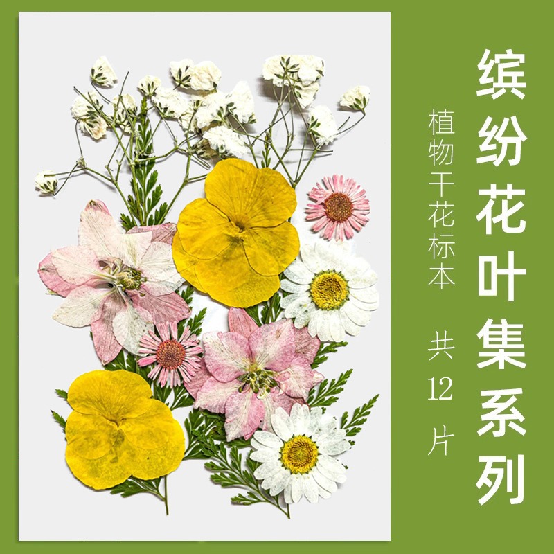 스타일 12-노란색과 흰색