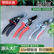 ������֦����֦�@�ּ�����֦��@�ּ���ժ�����քӹ��߼������l