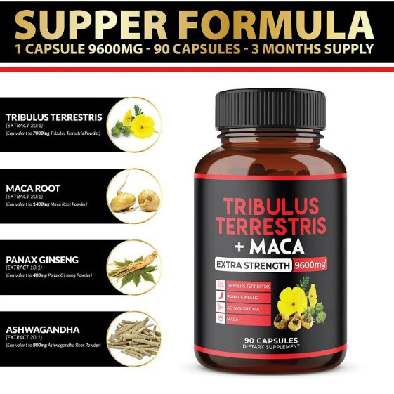 TK热销品 玛卡胶囊 Maca capsule 源头厂家批发可支持 贴OE M牌