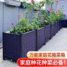 阳台种菜盆家庭特大长条花盆塑料蔬菜种植箱长方形种植槽果树葡萄