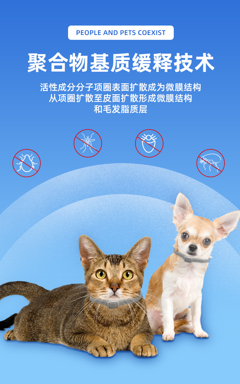 O1CN01iyNPG21UGvZhz94tL_!!2212730282491-0-cib.jpg?__r__=1722216874340