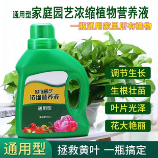 General plant nutrient solution wholesale flower fertilizer soil culture hydroponic succulent green radish leaf fertilizer organic liquid fertilizer