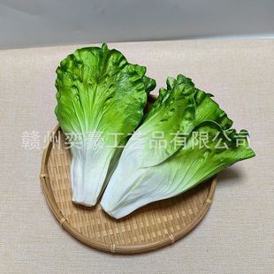 �������PU�����߲�ˮ����߹Ϲ��b�ģ�̓�ͯ�J֪���߲˰��]�[�O