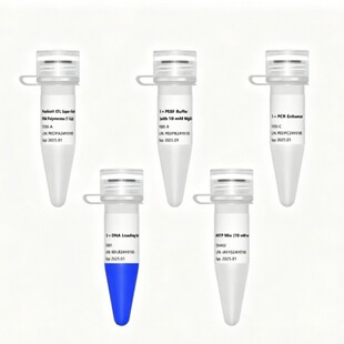 �п����Q  �߱���PCR  �߱���DNA�ۺ�ø��100-1000U��