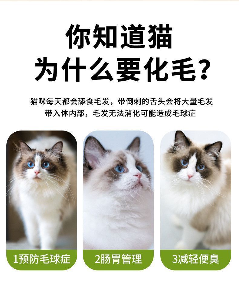 f9678374-fa17-4d08-a91e-c63dec0c6cb2.jpe