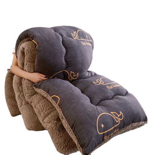 Cross-border brushed printed winter quilt lamb velvet quilt single double student dormitory quilt core air-conditioned quilt