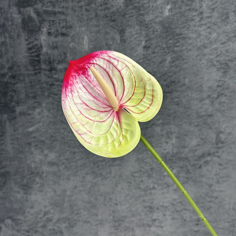 Decoración de Escenarios de Boda con Anturios Simulados, Decoración del Hogar, Accesorios de Fotografía, Adornos de Flores Artificiales en 3D para Venta al por Mayor