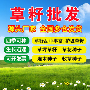 ���ѲݷN���o�²��ѹ��̲�ƺ�N���ļ���G�����Ѻ����ݹ�����߅��