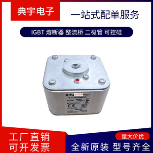 Fuse 170m6366 6367 6368 6376 6393 6399 6408 Model