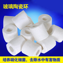 l ˮ~^Vմɭhˮ^Vϲhˮ|500g