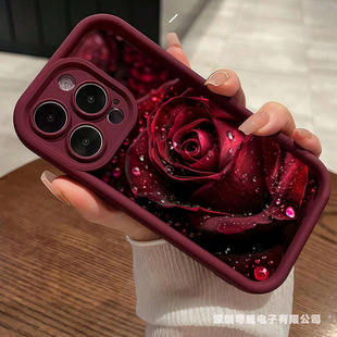 ˮ��tõ���m���O��17pro�羳16pro�W��15�֙C��14��13��iPhone12
