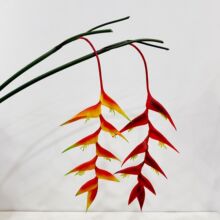 �����ָд��B�P�˿�ȸܛ�zз�Q�ٻ�����廨�Ƶꙻ�� �b��滨