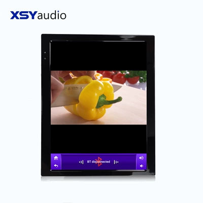 Reversing Image All-In-One Device, High-Definition – DVD Navigation