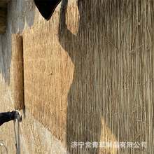 �S�����l�G�����K��ɻ�� ���زݺ����l��ů���ݲ�ɻ�Ӵ��� �ݺ���