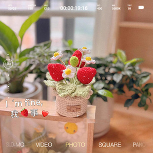 Finished Handmade Crocheted Wool Flower Potted Plant Home Decoration Simulated Strawberry Flower Wool Knitted Flower Creative Decoration