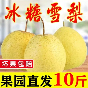 �ӱ��w�h����ѩ����//�����rˮ�����Ӯ����Fժ����ѩ��