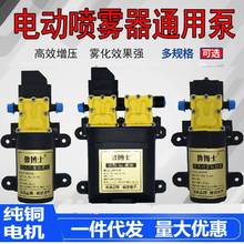 ����ʿ�r��늄Ӈ��F��ˮ�ø�Ĥ��12V�߉��ü��~ˮ��΢��늄�ˮ��