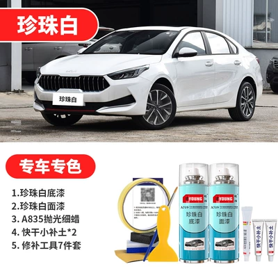 Silver Pearl White Special Self-Spray — Avtomobil boya qələmləri - pearl-white-pearl-white-basic-repair