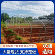 ��\�ܜ����߲˴���䓹܃�����\䓹ܽ��B������\�A��䓼�
