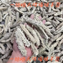 ������̹ɣ�၆������ �״��������Ҵ����� ȫ���ɺ�����؛���l