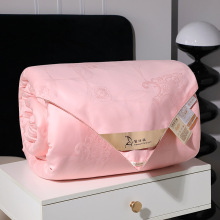 40  60  80支纯棉蚕丝被专用内胆