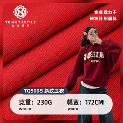 现货涤氨230g潮牌斜纹卫衣布 精梳棉弹力毛圈布春秋针织卫衣面料