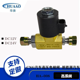 厂家直供高压电磁阀汽车，新能源CNG天然气汽车公交车大型货车高