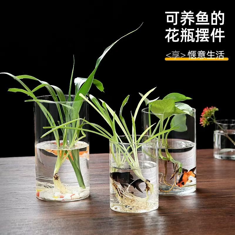 9350761129552c3adaacefabd7961d