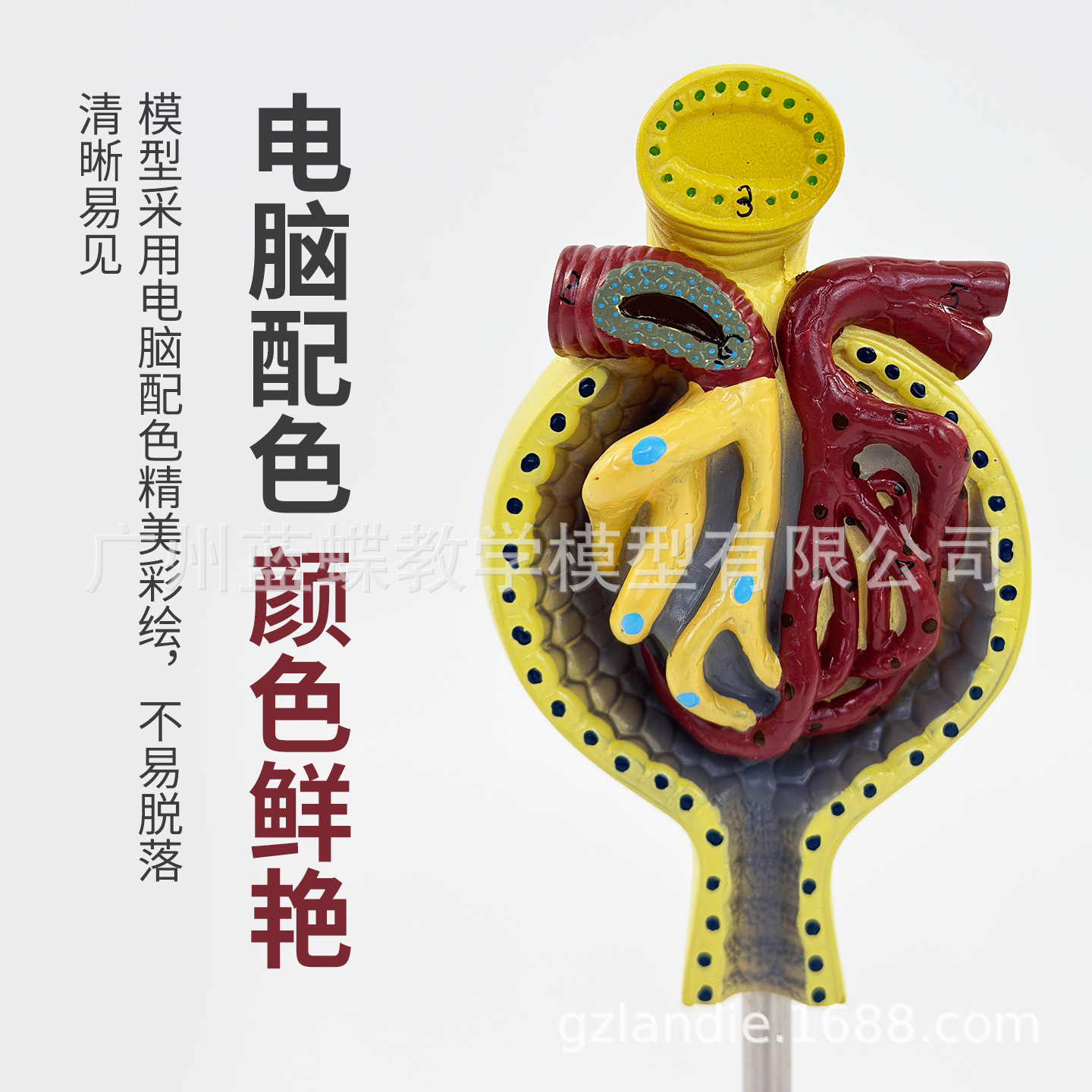 ��ѧ����������С�����ģ�ʹ�������Ȼ����С���������ϵͳ�̾�