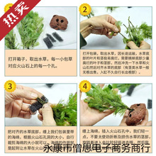 ���ˮ�ő���ˮֲ���~��ˮ�쾰��ɰ�ײ�����