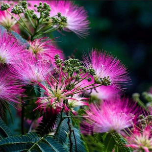 �Ϛg����������l�Ϛg��q������ܽ�ػ�����ͥԺ���Ի������Ի���