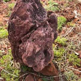 红色大块火山石50-100公分园林景观庭院公园造景石多孔火山岩原石