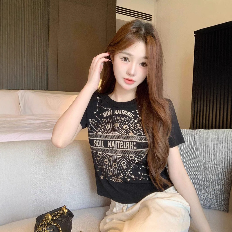 Short-sleeved T-shirt Women's 2025 Summer New Style Western Style Round Neck Embroidery High-end Sense Design Sense Korean Style Top Ins Trendy
