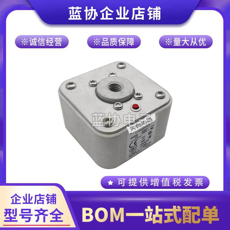 熔断器170M6313 170M6314 170M6315 170M6316 170M6317 170M6318