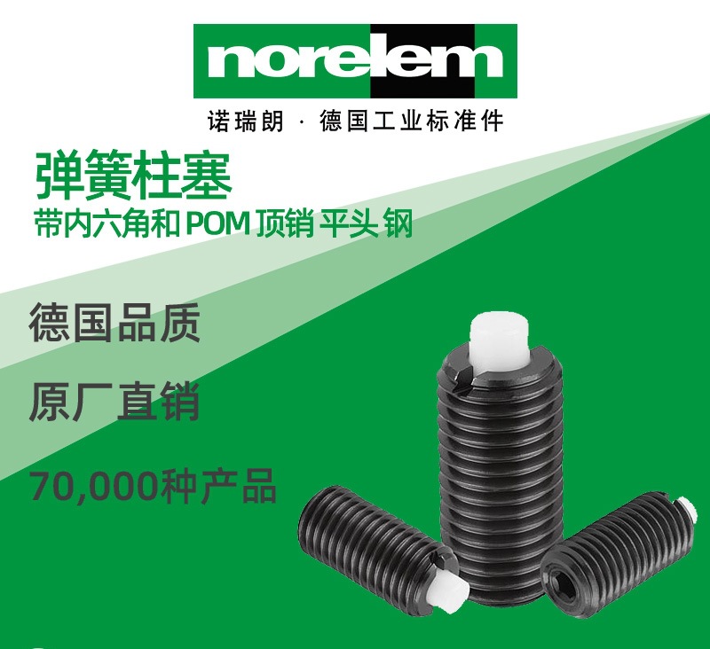 norelem德国原厂直供诺瑞朗NLM03050弹簧柱塞内六角POM顶销平头钢