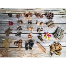 �����ֹ�diyɭ�ֲ��ϰ��¿� �ɹ��bɻ����M�����b���յ��ߔ[��