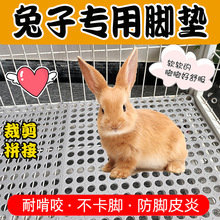 �S�Ұ��]һ�����lС٪���Ì����Ϳ�ҧ�_�|�W��|����\�Ӊ|�C�݉|