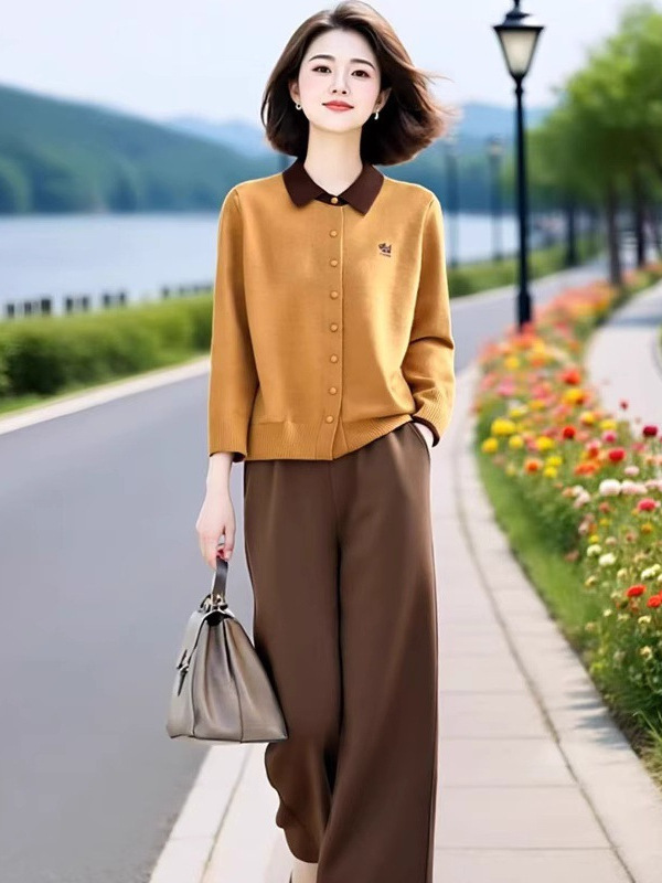 时尚休闲套装女秋季高级设计感时尚洋气减龄显瘦阔腿裤气质两件套|undefined