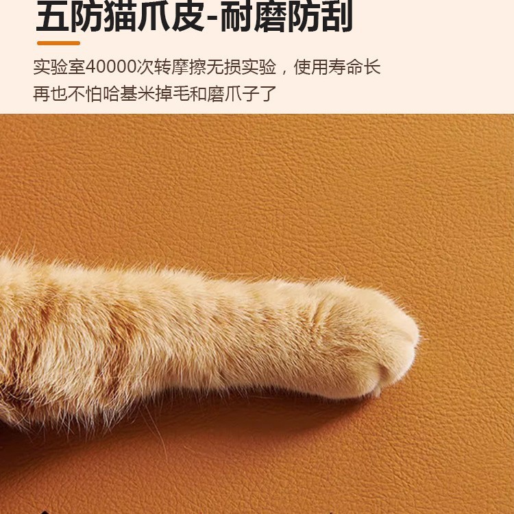 沙发床客厅折叠两用2025新款双人出租房简易小户型卧室布艺小沙发|undefined
