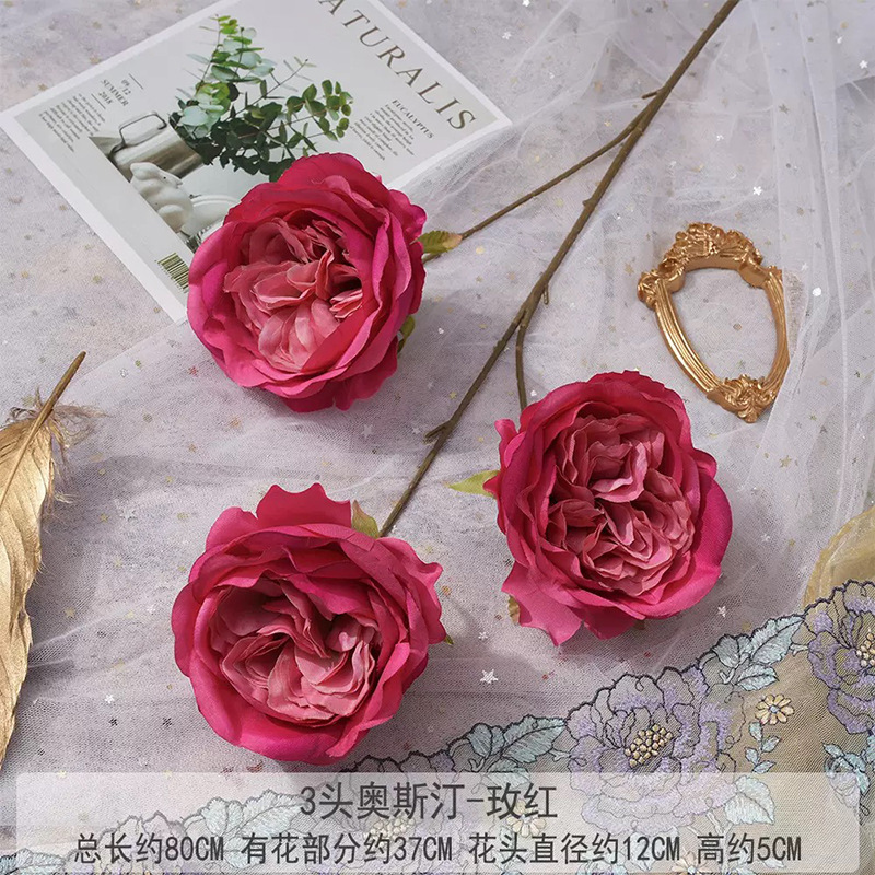 3헤드 오스틴 그라데이션 로즈 레드