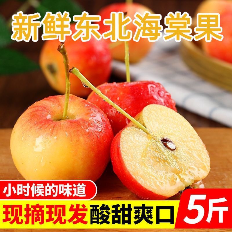 【现摘现发】海棠果东北特产沙果应季水果新鲜糖心酸甜苹果孕妇果