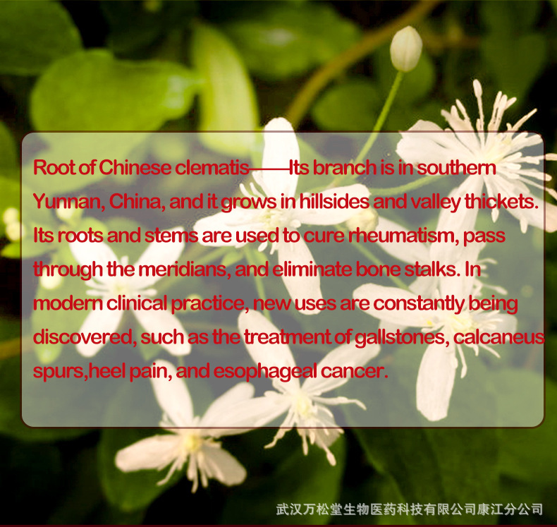 风湿茶详情页、_05.jpg