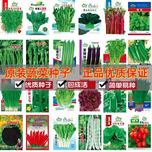 �߲˷N���ļ����N�����̨ͥԺ�S�϶�������׷N���|�������Ѵ�ȫ