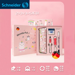 Wholesale German Schneider ink pen erasable gift ink pen eliminates handwriting positive posture pen growth gift box pen
