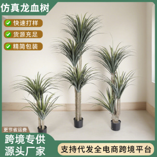 ������ط�����Ѫ��ֲ�����ԑ���ͥԺ�@�־G���쾰�b�����٘�