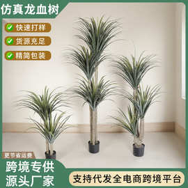 大型落地仿真龙血树植物盆栽户外庭院园林绿化造景装饰人造假树