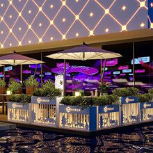 �����Fˇ����ͥԺ̫��ܰl�⻨��ֵ��������ڸ��಻�P䓻��۶�