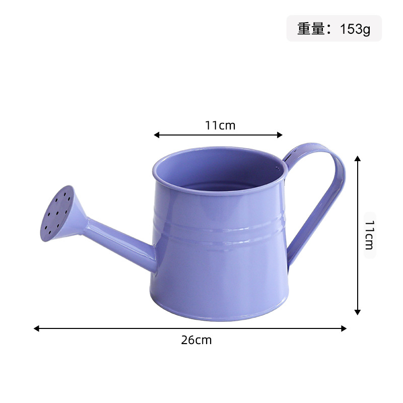 Light purple-iron watering bottle